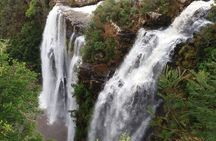Half Day Panorama Guided Tour