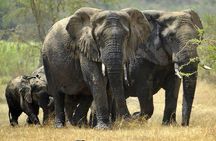 From Kigali: 12 Hour Custom Day trip for game Drive in Akagera NP