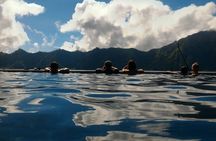 Mount Batur Sunrise Hike and Natural Hot Spring Option