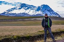 Antisana Volcano Birding & Natural History Condor Tour PRIVATE, all included