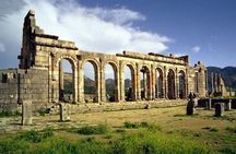 One day trip to Volubilis and meknes from Fes