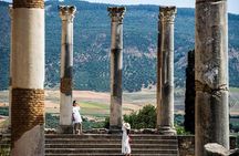 One day trip to Volubilis and meknes from Fes