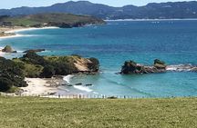 Stunning Auckland East Coast Walk & Wine Private Tour