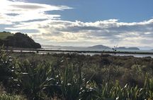 Beautiful Pohutukawa Coast - Half Day Private Tour