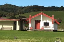 Beautiful Pohutukawa Coast - Half Day Private Tour
