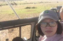 Nairobi National Park, Giraffe Center & Karen Blixen Museum 