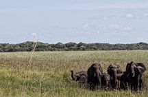 Maputo Special Reserve - 1 Day