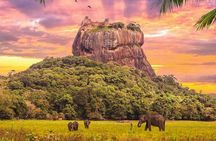  Kandy to Sigiriya Day Tour and Dambulla cave temple with private vehicle 