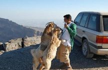 Jabl Shams with Nizwa for tours and sightseeing