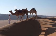 2 Days Package TOUR JAMILA