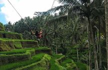Ubud Nature Waterfall Tour