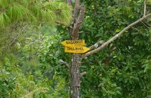 Nagarkot to Dhulikhel Day Hike from Kathmandu