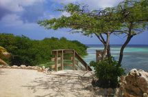 Aruba Mangel Halto and Baby Beach Snorkeling Guided Tour