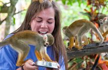 Monkeyland and Plantation Safari from La Romana