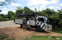 Monkeyland and Plantation Safari from La Romana