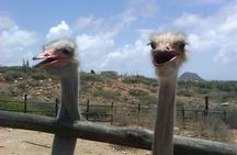 Half-Day Aruba Animal Sanctuary Guided Tour 