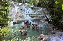 Dunn's River Falls and Jamaica Sightseeing Private Tour