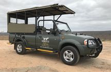 Kruger National Park Guided Day Tour including Hotel Pick-Up and Drop-Off