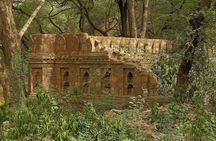 Delhi Urban & Heritage Adventures