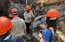 Cradle of Humankind Tour with Lion Safari from Johannesburg