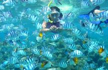 Bloo Lagoon Snorkeling East Bali Includes Transportation & Lunch