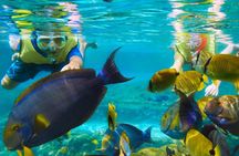 Bloo Lagoon Snorkeling East Bali Includes Transportation & Lunch