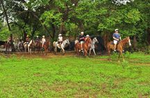 Combo Zip Line Tour and River Rafting from Guanacaste