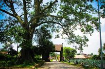 Instagram Tour Duong Lam Ancient Village with Train Street Visit