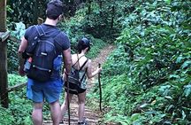Small-Group Adventure Trek in Grand Etang National Park