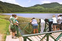 Small-Group Adventure Trek in Grand Etang National Park