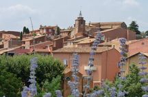 Provence Lavender Full Day Tour from Avignon