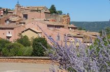 Provence Lavender Full Day Tour from Avignon