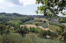 Wine tour in Umbria along the Sagrantino trail with light lunch