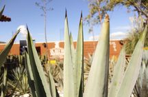 Hierve el Agua, Teotitlán del Valle, mezcal, el tule, desde Oaxaca
