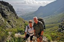 Table Mountain Half Day Hike: Platteklip Gorge