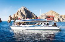 Los Cabos Whale Watching Cruise Including Breakfast