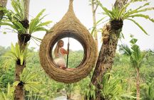 Bali Jungle Swing and White Water Rafting All Inclusive