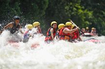 Padas River White Water Rafting from Kota Kinabalu (Grade 3 & 4)