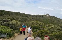 Private Cape of Good Hope Cape Point Penguin Kirstenbosch Tour.