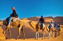 Evening Sunset Desert Safari Dubai