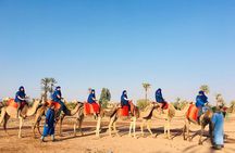 Camel Ride Marrakech 