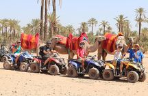 Camel Ride and Quad Bike in Palmeraie