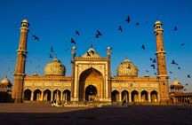 Delhi: Old and New Delhi Private Full or Half-Day Tour