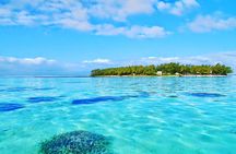 Eco Tour: Nature Reserve, Blue Bay, La Vanille Reserve, Gris Gris