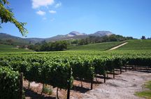 Private Stellenbosch, Franschhoek Paarl Wine Tour from Cape Town