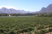 Private Stellenbosch, Franschhoek Paarl Wine Tour from Cape Town