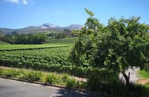 Private Stellenbosch, Franschhoek Paarl Wine Tour from Cape Town