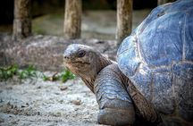 Ile aux Aigrettes Nature Reserve, Blue Bay Beach, La Vanille Park & Gris Gris