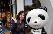 Everything Panda Private Day Tour in Chengdu