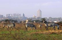 Nairobi National Park Half Day Tour